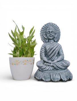 Buddha Statue